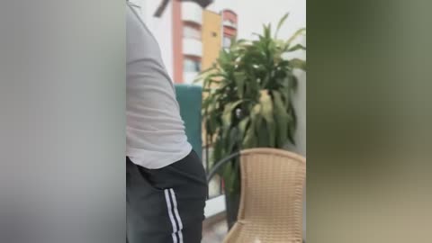 Video of a person in a white T-shirt and black Adidas pants, standing next to a wicker chair and a potted plant on a balcony with a blurred background of buildings.