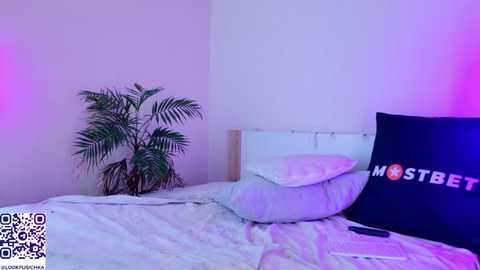 Media: A video of a minimalist bedroom with a white bed, a dark blue pillow, a green potted plant, and purple lighting. QR code in the bottom left corner.