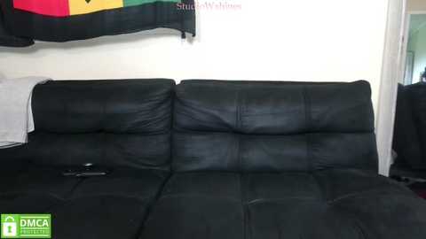 Media: Video of a black leather couch against a plain white wall, with a colorful, draped flag in the background and a green and white logo in the bottom left corner.