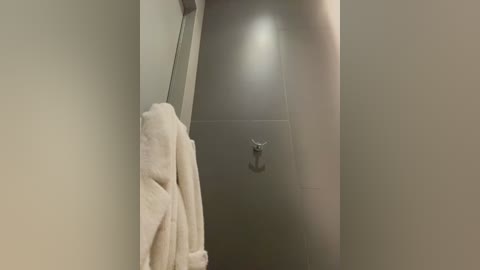 Media: Video of a modern, minimalist bathroom with a beige wall, a chrome towel rack holding a white towel, and a sleek, glass-enclosed shower with a silver showerhead.