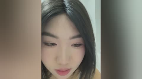 Media: Video of an East Asian woman with straight, shoulder-length black hair, light skin, and subtle makeup, including pink eyeshadow and light pink lipstick, with a blurred background.