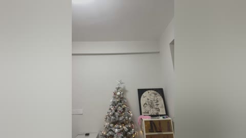 Media: Video of a minimalist room with a white wall, a small Christmas tree adorned with ornaments and a star, a framed art piece, and a gold-colored side table.