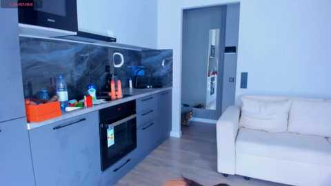 Media: Video of a modern, minimalist kitchen with grey cabinets, black marble backsplash, and an orange chair; adjacent living room features a cream sofa and a black dog.