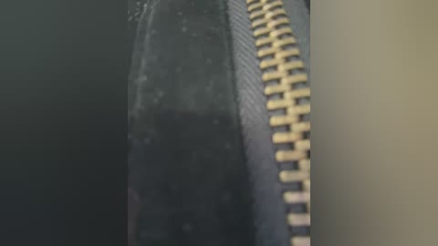 Media: Close-up video of a black leather jacket zipper, featuring a metallic gold pull tab. The fabric appears smooth with slight sheen, suggesting high-quality material. The image focuses on the texture and detailing of the zipper.