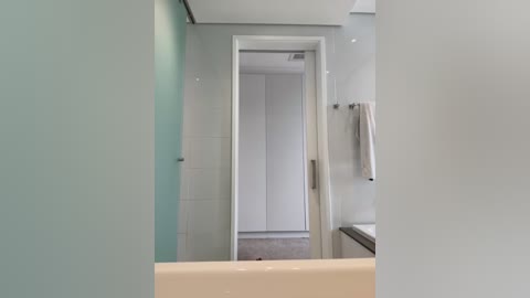 Media: Video of a modern, minimalist bathroom with a glass shower door on the left, a white towel rack on the right, and a white door leading to a walk-in shower.