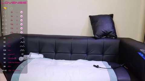 Media: A video of a modern, minimalist bedroom featuring a black leather sofa with a tufted backrest, a white pillow, and a grey and white striped duvet, set against a beige wall.