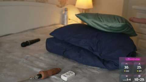 Video of a cozy bedroom with a neatly made bed featuring a navy-blue comforter, a green pillow, and a beige pillow. A remote control, a black umbrella, and a brown bottle are scattered on the bed. The background includes a bedside lamp and a partially visible person.