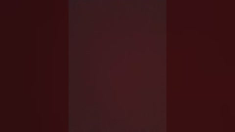 Media: A video of a dark, vertical, rectangular object against a solid, deep red background, creating a stark contrast. The object's texture appears smooth and glossy, with a slight gradient of darker shades towards the edges.