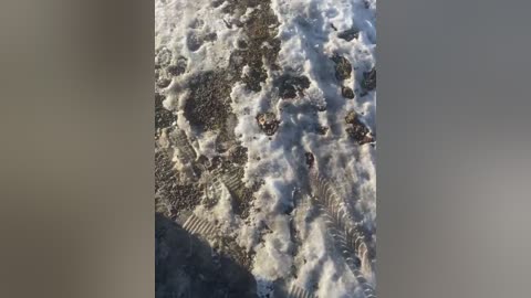 Media: A video captures a close-up view of a rocky shoreline with waves crashing, revealing intricate patterns and textures. The image is framed by a blurred, muted background.