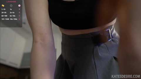 Media: A video of a person in a black crop top and high-waisted gray skirt, with a digital overlay showing video controls and a watermark.