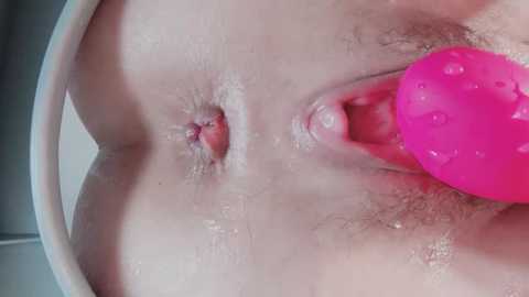 A close-up video of a light-skinned person's shaved genital area, featuring a pink, water-filled dildo inserted into the vagina, with visible labia and anus.