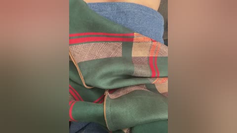 Media: A close-up video of a person's torso wearing a blue sweater. The sweater is wrapped around the person's waist, revealing a green and brown plaid scarf with red stripes. The background is blurred, focusing attention on the textures of the fabric.