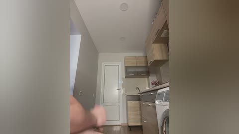 Media: Video of a narrow, modern kitchen with light wood cabinets, white doors, and stainless steel appliances. A hand holding a phone is blurred in the foreground.