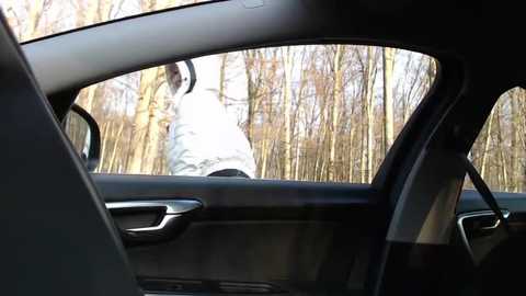 Media: Video of a black car's interior with a person in white clothes standing outside, reflected in the window. Background shows a forest of bare trees in a winter setting.