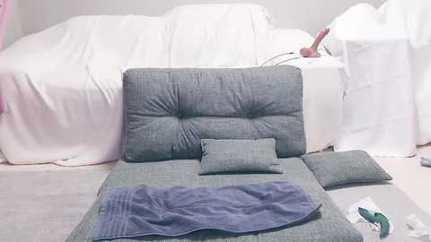 Media: Video of a minimalist living room with a white sofa draped in a white sheet, featuring a gray, tufted, textured throw pillow and a matching gray throw blanket on a light gray rug.