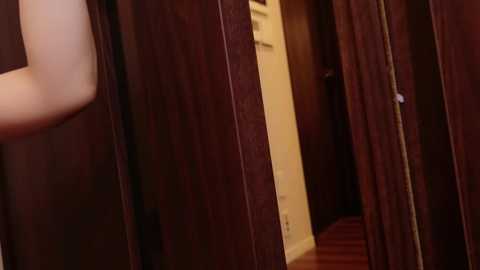 Video of a person's arm and part of their body entering a dark, wooden wardrobe with a narrow opening, set against a light-colored wall.