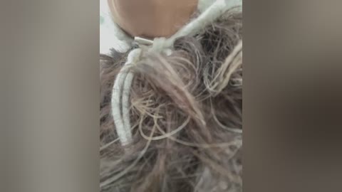 Video of a person's upper body, focused on a fluffy, brown and beige wig with a white elastic band, covering part of the face and neck. Background is blurred and indistinct.