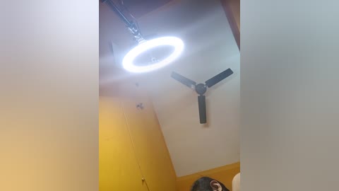 Media: Video of a woman with long dark hair, partially visible in a room with a white ceiling, yellow walls, and a black ceiling fan with a bright circular LED light.