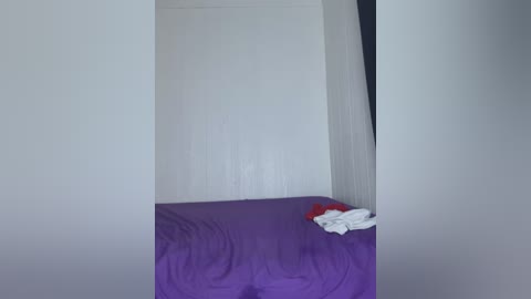 Video of a minimalist, sparsely decorated room with a purple bedspread on a white bed, a white towel on the bed, and a red and white item on the floor. The room has white walls and a dark curtain partially drawn.