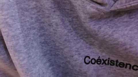 Media: Video of a soft, light purple sweatshirt with a smooth texture, featuring a small, indistinct stain. The word \"Coexist\" is partially visible in black text on the left side. The background is out of focus.