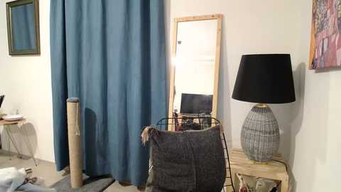 Media: Video of a cozy living room with blue curtains, a wooden-framed mirror, a gray cat bed, a black lamp, and a colorful painting on the wall.