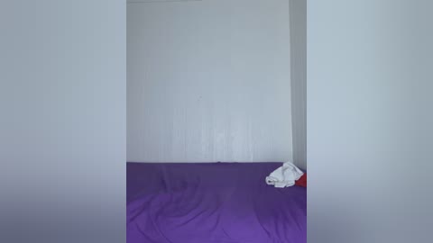 A video of a small, empty room with white walls, featuring a purple bedspread and a white cloth on the floor in the corner. The lighting is soft and natural, creating a serene and minimalist atmosphere.