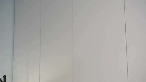 A video of a minimalist, white, paneled wall with vertical lines, likely in a modern interior setting, showing a clean, uniform texture.