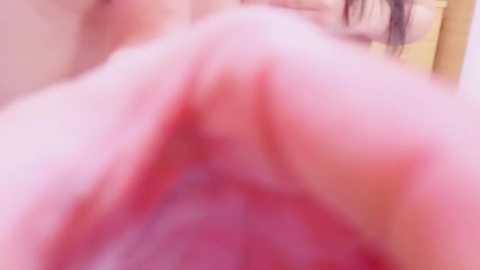 Media: A blurry video of a close-up view of a woman's vulva, with light pink skin tones and a soft focus background, possibly indoors.