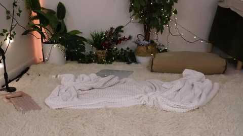 A cozy, dimly lit room with a cream-colored shag rug, a white knit blanket, potted plants, fairy lights, a beige cushion, and a black TV on a white wall.