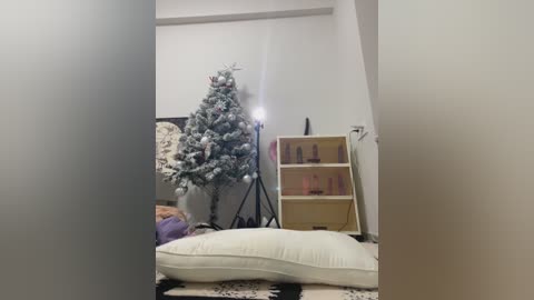 Media: A video captures a cozy, dimly lit bedroom with a white, fluffy pillow on the floor. A small Christmas tree adorned with white snowflakes stands next to a wooden bookshelf holding a couple of red shoes.