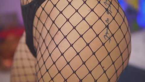 Media: Video of a woman's lower back and buttocks, covered in black fishnet stockings, revealing a tattoo. Background is blurred, featuring colorful furniture and a red chair.