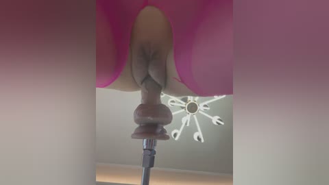 Media: Video of a close-up view of a pink, smooth, rounded object resembling a vulva, with a shiny, metallic, cylindrical object inserted into it, set against a background of a ceiling fan.