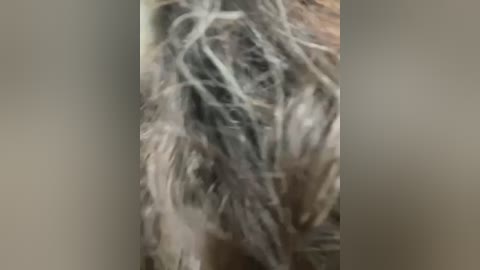 Media: A blurry, close-up video of tangled, dirty white and gray hair, possibly from a person, with a muted background. The image has a grainy texture and lacks discernible details.