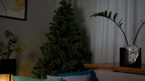 Media: Video of a dimly lit room with a Christmas tree, a plant in a glass vase, and a wooden shelf, featuring a minimalist decor style.