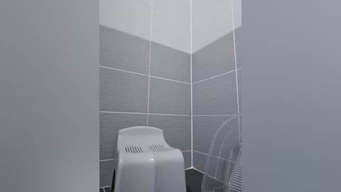 Media: A video of a minimalist bathroom with gray-tiled walls and a white plastic toilet seat. The space is clean and modern, with a small, white, open-top trash can near the toilet.