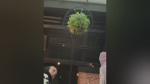 Media: A video of a modern, industrial-style room with a large, spherical, green plant hanging from a metal frame. Two people, one in a black and white fur coat, and the other in a purple hooded sweatshirt, are visible in the background.