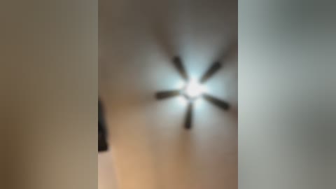 Media: A blurred video of a ceiling fan with a central light fixture, set against a beige wall, with the right side of the image partially obscured.