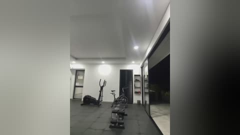 Media: A dimly-lit, minimalist gym with dark gray floor tiles, a stationary bike, and a treadmill. The room features a white ceiling with recessed lighting, large glass windows on the right, and a black exercise ball.