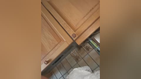 Video of a corner of a kitchen with light wood cabinets and tiled backsplash. A brownish stain is visible on the cabinet door. The floor shows a mix of ceramic tiles and linoleum.