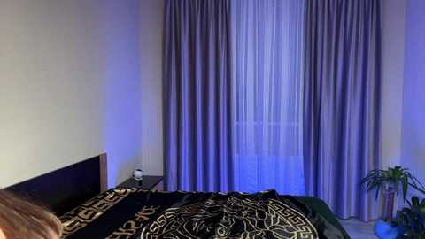 Media: Video of a dimly lit bedroom with purple curtains, black and gold patterned bedspread, and a small table with a lamp.