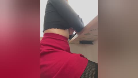 Media: Video of a person wearing a red skirt, black top, and black fishnet stockings, partially obscured by a blurred, reddish background.