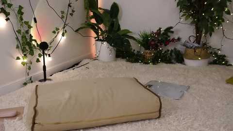 Media: Video of a cozy indoor setting with a beige mat on a plush white carpet, surrounded by potted plants, string lights, and a white wicker basket.