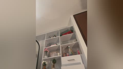 Video of a modern, minimalist white shelving unit with built-in drawers. Shelves hold various items including books, a potted plant, a glass vase, and decorative items. The background shows a corner of a room with a brown door and a white wall.