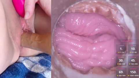 Media: A close-up video of a person's vulva, with pink, translucent, and shiny lubricant visible, and a hand holding a pink vibrator. The background includes a blue and white checkered towel.