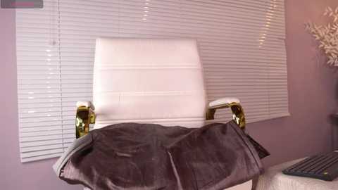 Media: A video of a white leather armchair with gold armrests, draped with a brown blanket, in front of white horizontal blinds, against a lavender wall.