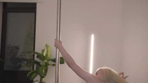 Media: Video of a blonde woman in a white room, grasping a silver pole with her right hand, wearing a topless outfit, standing near a large green plant.