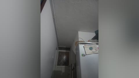 Media: A video of a narrow, dimly lit hallway with a white ceiling, a beige wall on the left, and a white refrigerator on the right. The refrigerator has magnets, including a green one, and a small, partially visible window on the left.