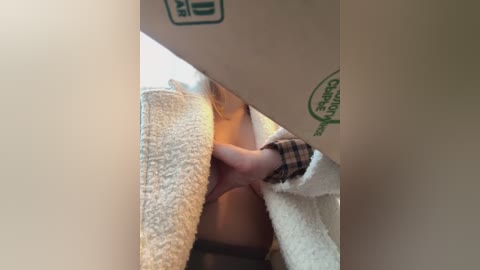 Media: Video of a person with light skin and long blonde hair, partially hidden by a beige towel. They are wearing a checkered shirt and appear to be in a bathroom with visible green \"Carrier\" branding.