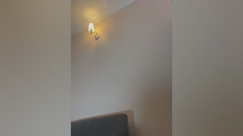 Media: Video of a minimalist room with a beige wall and a small, warm-toned wall-mounted light fixture emitting soft light. The room's ceiling and upper wall are smooth and plain, with a faint shadow indicating a corner.