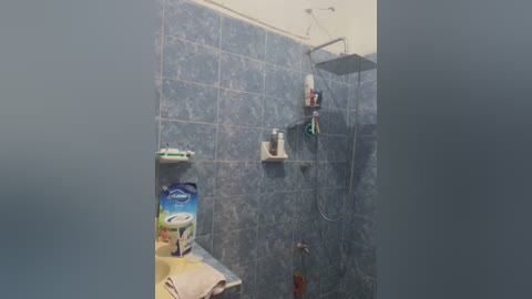 Media: A video of a small, blue-tiled shower with a showerhead, a shampoo shelf, and a soap dish. Towels and toiletries are visible on the countertop, with a partially blurred background.